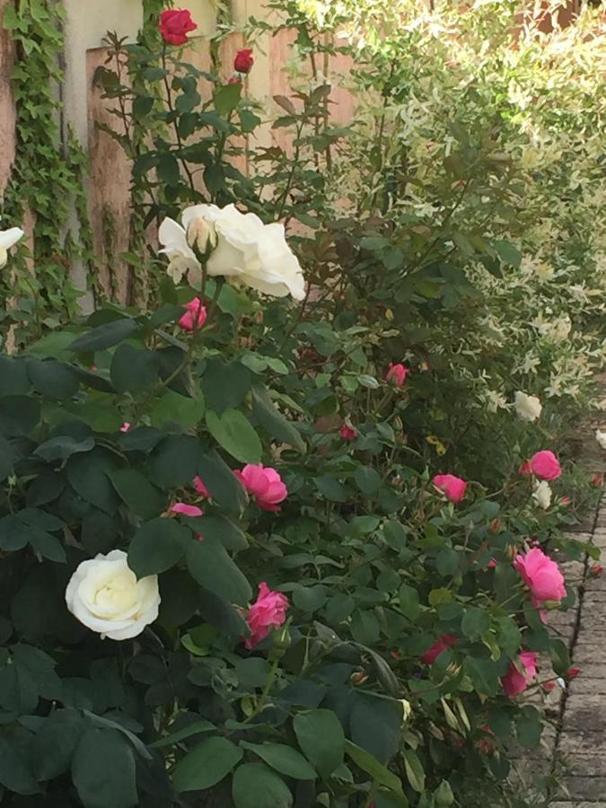 Rose Garden Mezzanine Bed & Breakfast Giverny Dış mekan fotoğraf